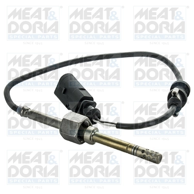 Sensor, exhaust gas temperature